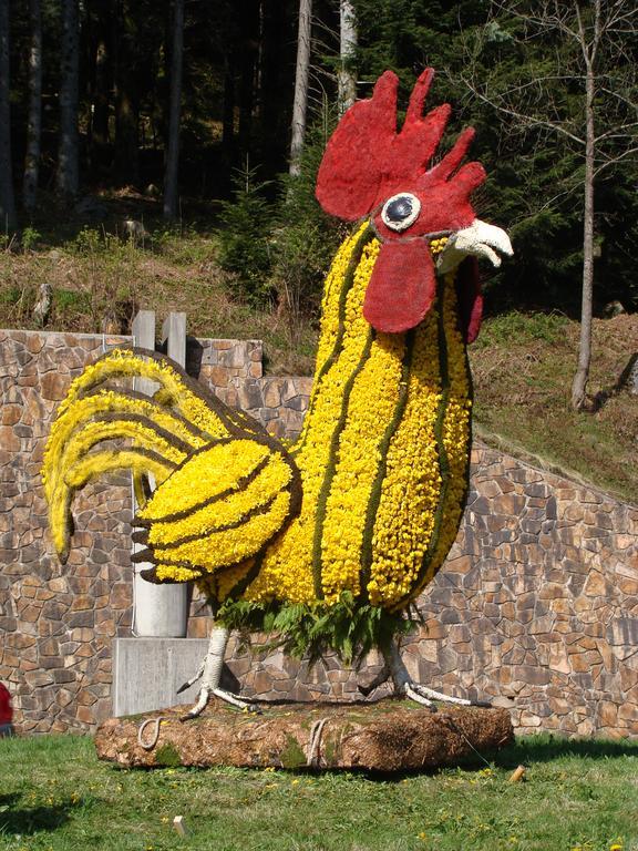 Les Brimbelles Διαμέρισμα Gérardmer Εξωτερικό φωτογραφία
